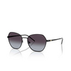 Gafas de sol Emporio Armani EA2161 30018G matte black - Miniatura del producto 2/3