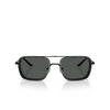 Gafas de sol Emporio Armani EA2162 300187 matte black - Miniatura del producto 1/3