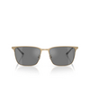 Occhiali da sole Emporio Armani EA2164D 30026G matte pale gold - anteprima prodotto 1/3