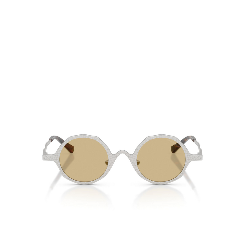Emporio Armani EA2166 Sonnenbrillen 3015/2 matte silver - 1/3