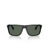 Lunettes de soleil Emporio Armani EA4033 500171 matte black - Vignette du produit 1/3