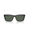 Gafas de sol Emporio Armani EA4224 500171 matte black - Miniatura del producto 1/3