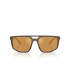 Emporio Armani EA4248U Sonnenbrillen 62586H matte brown - Produkt-Miniaturansicht 1/3