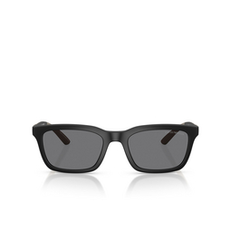 Emporio Armani EA4249U Sunglasses 500181 matte black
