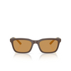 Occhiali da sole Emporio Armani EA4249U 625893 matte brown - anteprima prodotto 1/3
