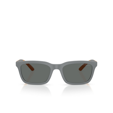 Occhiali da sole Emporio Armani EA4249U 626187 matte grey - frontale