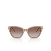 Gafas de sol Emporio Armani EA4251 626313 shiny opal tundra - Miniatura del producto 1/3