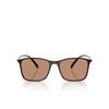 Giorgio Armani AR8231U Sunglasses 623973 transparent brown - product thumbnail 1/4