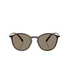 Giorgio Armani AR8233U Sunglasses 6239M4 brown - product thumbnail 1/6