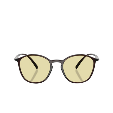 Giorgio Armani AR8233U Sunglasses 6239M4 brown - three-quarters view