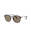 Giorgio Armani AR8233U Sunglasses 6239M4 brown - product thumbnail 3/6