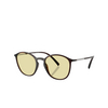 Giorgio Armani AR8233U Sunglasses 6239M4 brown - product thumbnail 4/6