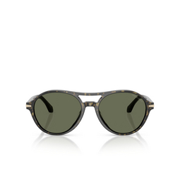 Gafas de sol Giorgio Armani AR8236U 623352 green havana