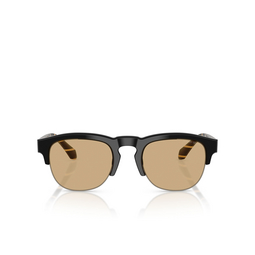 Gafas de sol Giorgio Armani AR8238 587573 black