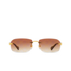 Occhiali da sole Gucci GG1221S 004 gold - anteprima prodotto 1/4