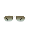 Occhiali da sole Gucci GG1221S 008 silver - anteprima prodotto 1/4