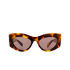 Gucci GG1843S Sunglasses 003 havana - product thumbnail 1/4