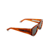 Gucci GG1917S Sunglasses 006 havana - product thumbnail 2/4