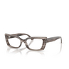 Jimmy Choo JC3018B Eyeglasses 5056 glitter black / silver shade - product thumbnail 2/4