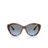 Jimmy Choo JC5007 Sunglasses 50028F havana - product thumbnail 1/4