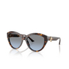 Jimmy Choo JC5007 Sunglasses 50028F havana - product thumbnail 2/4