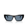 Jimmy Choo JC5035B Sunglasses 500080 black - product thumbnail 1/4
