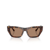 Jimmy Choo JC5035B Sunglasses 500273 havana - product thumbnail 1/4