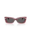 Jimmy Choo JC5037BU Sunglasses 506487 striped cranberry - product thumbnail 1/4