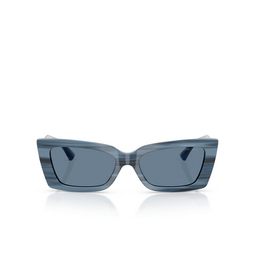 Jimmy Choo JC5037BU Sunglasses 507280 striped navy
