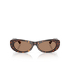 Jimmy Choo JC5038BU Sunglasses 500273 havana - product thumbnail 1/4