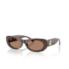 Jimmy Choo JC5038BU Sunglasses 500273 havana - product thumbnail 2/4