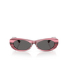 Jimmy Choo JC5038BU Sunglasses 506487 striped cranberry - product thumbnail 1/4