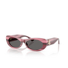 Jimmy Choo JC5038BU Sunglasses 506487 striped cranberry - product thumbnail 2/4