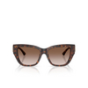 Jimmy Choo JC5039BU Sunglasses 500213 havana - product thumbnail 1/4