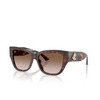 Jimmy Choo JC5039BU Sunglasses 500213 havana - product thumbnail 2/4