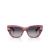 Jimmy Choo JC5039BU Sunglasses 50648G striped cranberry - product thumbnail 1/4