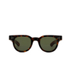 Gafas de sol Julius Tart Optical FDR TORTOISE - Miniatura del producto 1/4