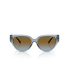Michael Kors BOCA RATON Sunglasses 401413 denim transparent - product thumbnail 1/3