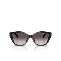 Michael Kors CATSKILLS Sunglasses 30058G black