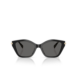 Lunettes de soleil Michael Kors CATSKILLS 395087 black / amber tortoise