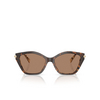 Michael Kors CATSKILLS Sunglasses 395173 dark / cream tortoise - product thumbnail 1/3