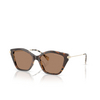 Michael Kors CATSKILLS Sunglasses 395173 dark / cream tortoise - product thumbnail 2/3