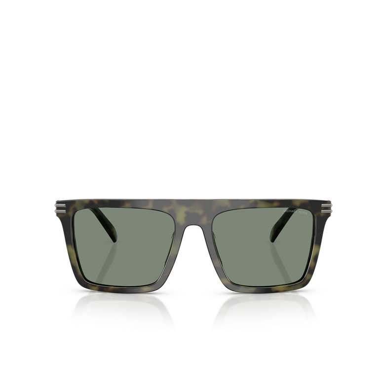 Michael Kors EDGEWATER Sunglasses 37053H olive tortoise - 1/3
