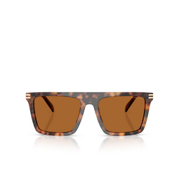 Michael Kors EDGEWATER Sunglasses 390473 vintage tortoise