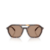 Michael Kors JACKSON HOLE Sonnenbrillen 300673 dark tortoise - Produkt-Miniaturansicht 1/3