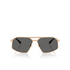 Michael Kors MAR VISTA Sunglasses 189987 beige gold - product thumbnail 1/3