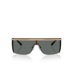 Michael Kors PALISADES Sunglasses 189987 beige gold