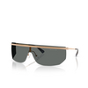 Michael Kors PALISADES Sunglasses 189987 beige gold - product thumbnail 2/3