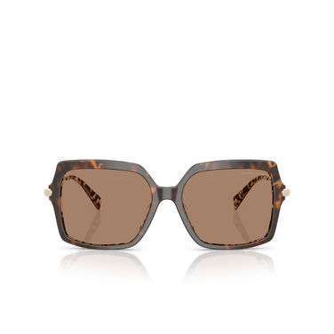 Michael Kors QUOGUE Sonnenbrillen 395173 dark / cream tortoise - Vorderansicht