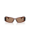 Michael Kors RHODES Sunglasses 402173 brown transparent - product thumbnail 1/3